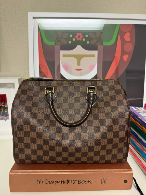 foto della Borsa Speedy 30 di Louis Vuitton